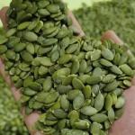 Best Quality Bulk Cheapest Green Peeling Pumpkin Seeds hot selling on Amazon