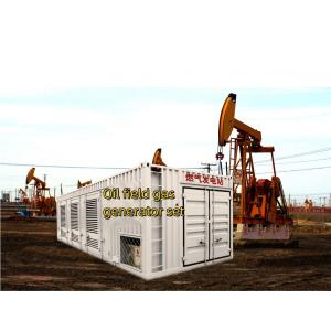 China 1500RPM/1800RPM Speed 250kw Water Cooling Low Noise Methane Gas Powered Biogas Generator Set wholesale