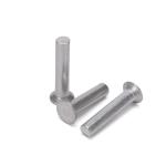 Fast and Solid Performance DIN Standard Solid Round Head Rivets Stainless Steel