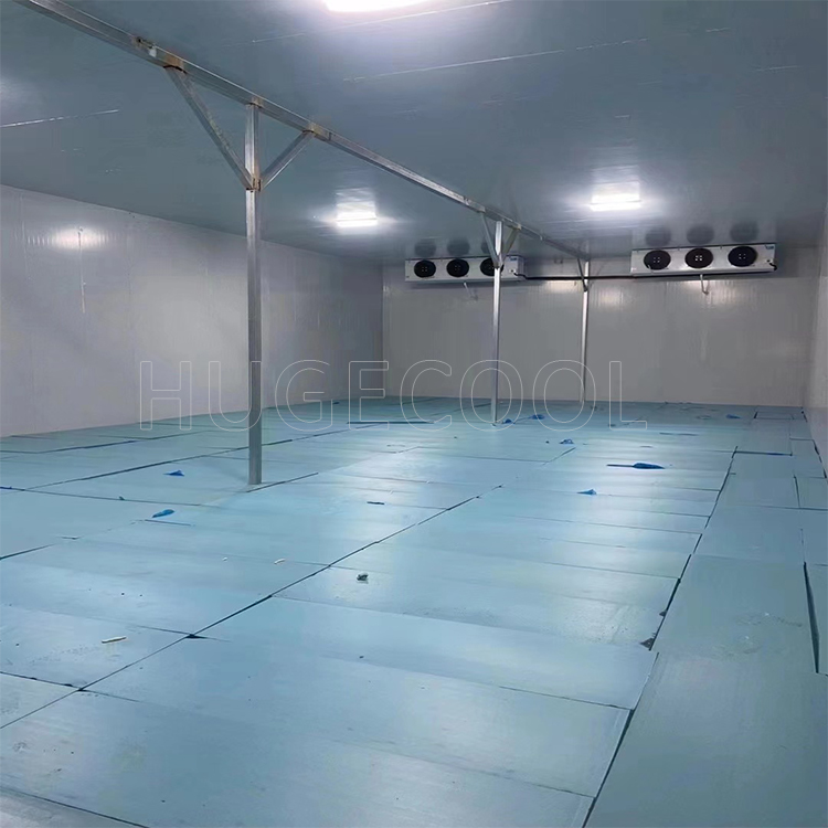 Cold Room For Fruits And Vegetable Fish Meat Seafood Storage Keep Cool Room