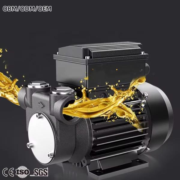 Oil Pump High Flow Electric Self-Priming Diesel Transfer Pump With CE Approval