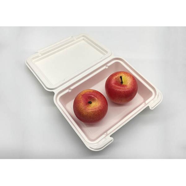 9"×6”825ml Pulp Biodegradable Takeout Containers