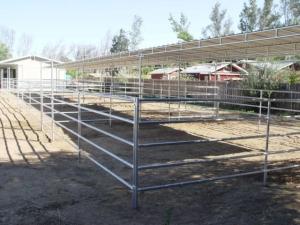 China Livestock Galvanized 1650mm Horse Corral Fencing wholesale