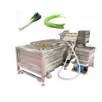 Pepper Washing Machine 6 Kg Dezhou
