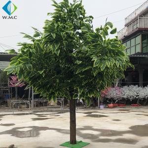 China Home Decoration Fake Mango Tree 3m Height Customized Design wholesale