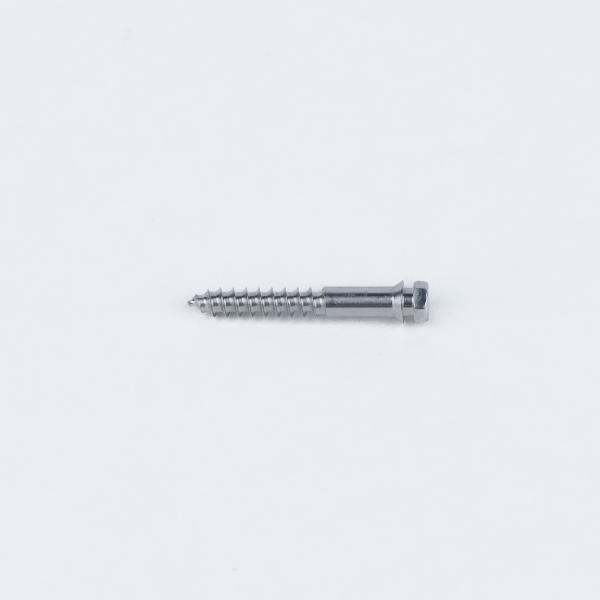 2-Pack Orthodontic TAD MSE Titanium Mini Screws Primary Application Micro-Implant Assisted Rapid Palatal Expansion MSE