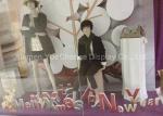 Wide Range Materials Shop Display Christmas Decorations Decorative PVC Christmas