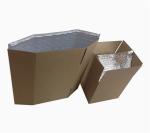 Aluminum Foil Bubble Insulated Food Bag Thermal Insulating 3D / 2D Box