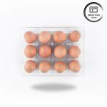 3x4 Clear Plastic Egg Containers Customized Hot Selling Plastic Egg Cartons