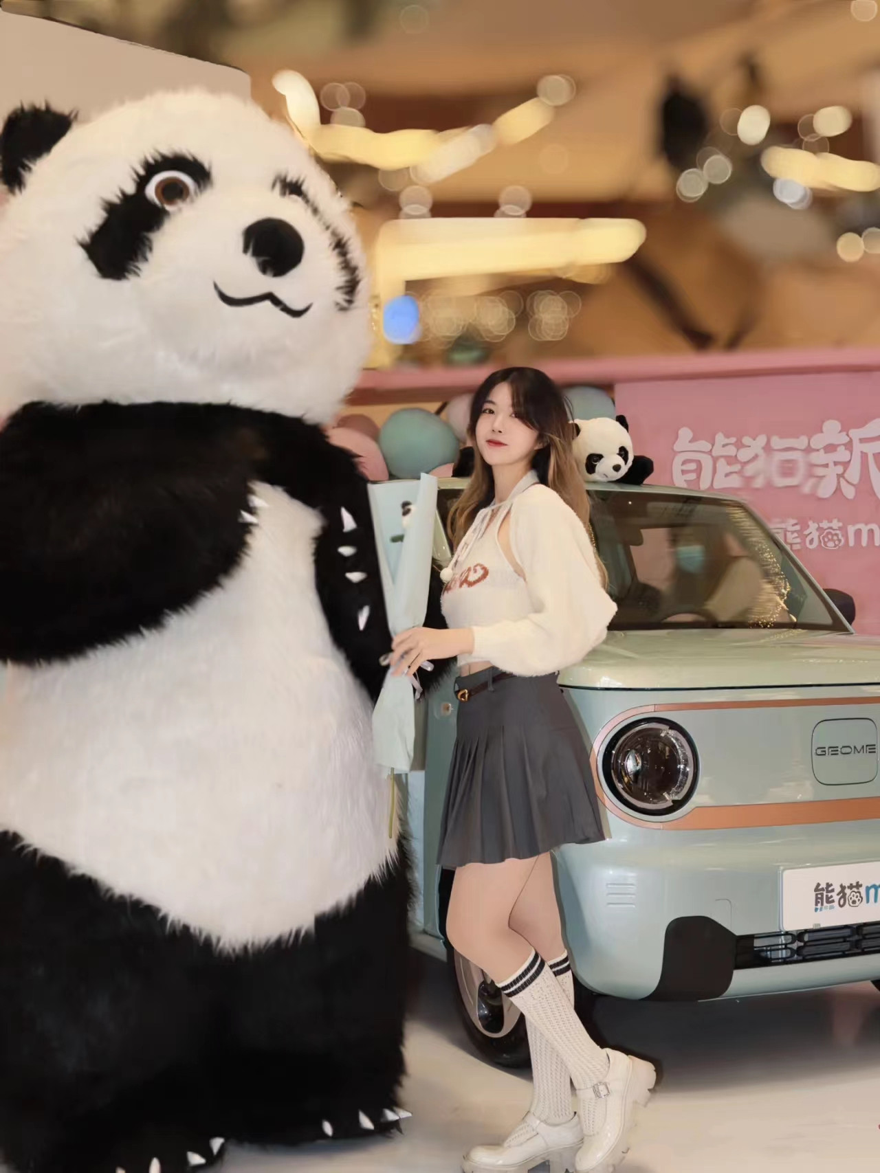 GEELY Panda Mini 2 Speakers And 1 Camera Sport And Comfortable Two Driving Modes Choice Electric Car With Synchronous Motor