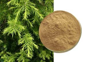 China Natural Agricultural Cosmetics Artemisia Annua Extract wholesale