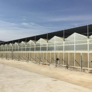 China New Material Uv Protection PC Panel Greenhouse For Growing Vegetables wholesale