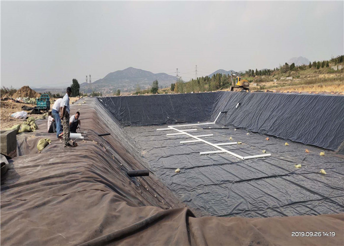Landfill High Density ISO9001 Polyethylene Geomembrane