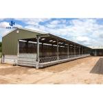 Solid H-shape Steel Beam Hot Dip Galvanised Livestock Shed for Pig Cow Sheep