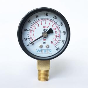 China 50mm 14 Bar 200 Psi Pressure Gauge wholesale
