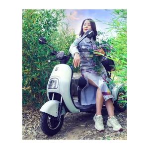 China 650W Three Wheel Electric Tricycle Motorcycle Bike for Adults Driving Type Electric wholesale