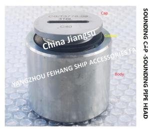 China Stainless Steel 316L-Sewage Treatment Tank Depth Sounding Injection Head C40 CB/T3778-1999 wholesale