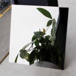 Silver Mirror Polished Stainless Steel Sheet 0.3-1.2mm Thickness