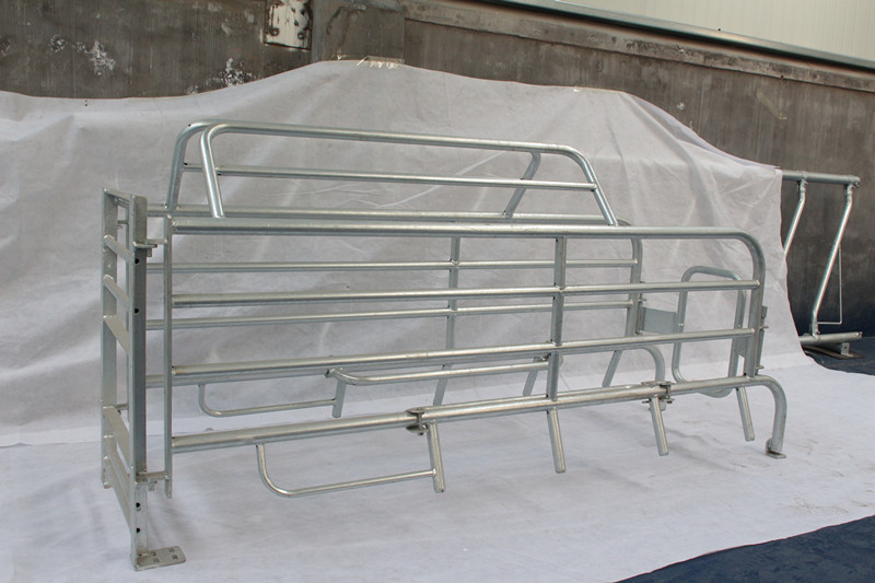 New Type Indoor Guinea Pig Cages Used As Farrowing Crates / House Easily Clean