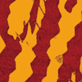 Multi Functional AFM Atomic Force Microscopy Precise Biology Microscope