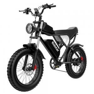 China Removable Battery Off Road Fat Tire Electric Bike 40 Miles Steel Frame wholesale