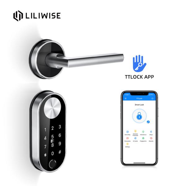 European Standard Code Door Lock Split Biometric Fingerprint Wireless Modern
