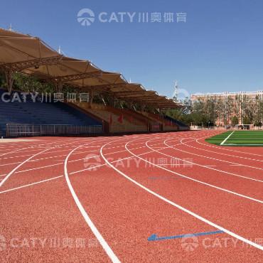 Iaaf Approved 13mm Prefabricated Runway Rubber Running Track for Stadium Tartan