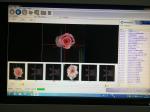 Fresh Flower Accurate Focusight Inspection Machine