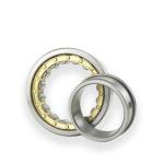 Full Complement Cylindrical Roller Bearings NJ205 NJ220 NJ200 Series