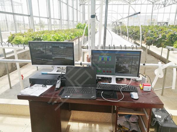 Premium PC Sheet Sustainable Greenhouse , Forest Garden Greenhouse Multi Span