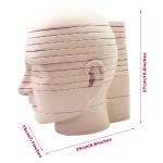 horizontal section of brain nerve function medical brain tomography 12-slice