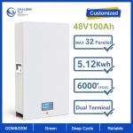 LiFePO4 Lithium Battery OEM ODM 48V 100AH 200AH 300AH Powerwall Off Grid