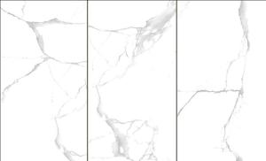 China Super White Porcelain Tile For Exterior Walls 300x600 mm Shower Wall Panels wholesale