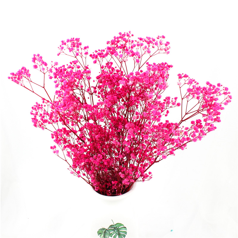 Non Toxic Harmless Preserved Baby Breath Flowers For Ins Valentine Gift