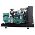 312.5KVA Cummins Low-Noise Natural Gas Generator for Lpg Gas Power Generation