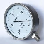 All SS Capsule Pressure Gauge 150mm 40 Mbar Vacuum Manometer Radial Mounting
