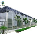 Arch Roof 10.8m PC Sheet Greenhouse Flower Growing