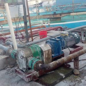 China NBR Rubber Coated Rotor Pump Positive Displacement Stable Flange DN80 wholesale