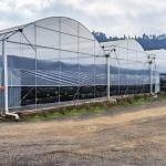 Rolling Bench Vegetable High Tunnel Greenhouse Steel Frame Hydroponics Large