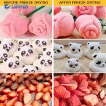 Lanphan 7-Tray Medium Home Freeze Dryer Black White Freeze Dry At Home for food