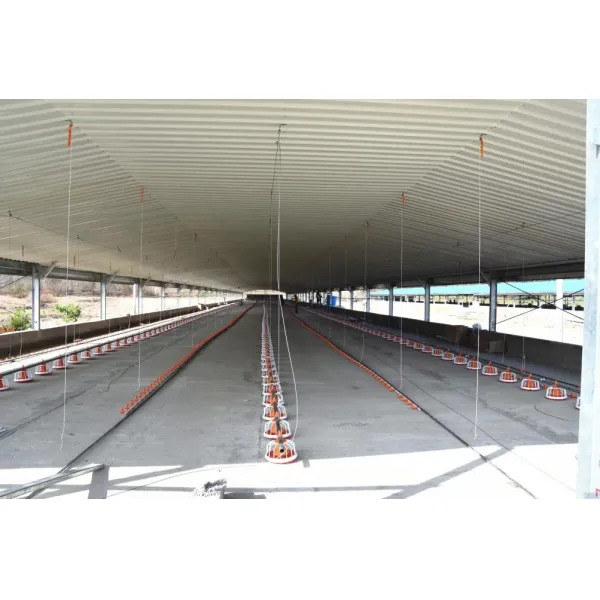 Hot Dip Galvanized Metal Steel Broiler Layer Poultry House With Automatic Brooding Equipment
