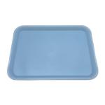 Autoclavable Dental Plastic Flat Trays Instrument Tools Tray 340x240mm High