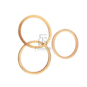 China Sealing Ring 01118760 0111 8760 1118760 for deutz 912 913 wholesale