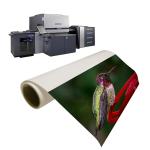 Luste Satin Fast Printable Indigo Paper For Hp Printing