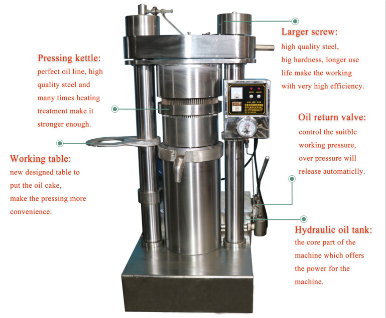 Simple Operation Cold Oil Extractor Machine Coconut Oil Processing With Solid Piston