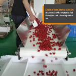 Cherry Tomato Blueberry Fresh Fruit Multihead Weigher Carton Box Filling Packing