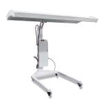 Bio Laser Infrared Light Therapy Bed Full Body Photobiomodulation Panel