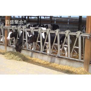 China AiSi Standard Prefabricated Steel Structure Cowshed for Cow and Dairy Farm Certified wholesale