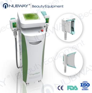 China body cryolipolysis slimming machine wholesale