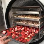 100kg Commercial Freeze Dryer Machine Lemon Fruit Freeze Drying Machine